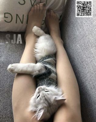 欧美另类摇滚歌曲_BD免费观看视频